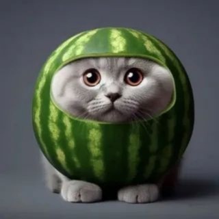 Telegram profile photo for Розыгрыши менеджера