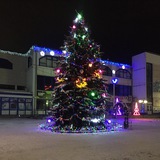 Telegram profile photo for Курский центральный рынок