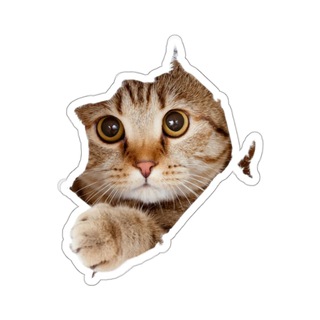 Telegram profile photo for Premium Emoji | Премиум эмодзи | Темы