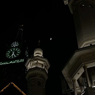 Telegram profile photo for قناة المحاضرات