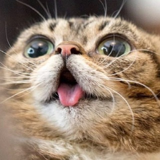 Telegram profile photo for хлорка||рест