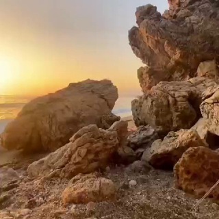 Telegram profile photo for Земля в Крыму