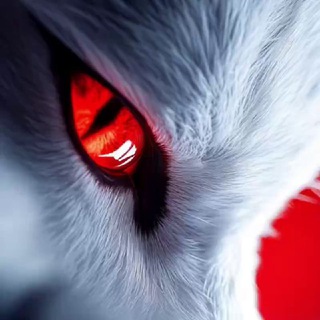 Telegram profile photo for ♥ﮩ٨ـﮩﮩ٨ـﮩﮩ Живые обои 4К ﮩﮩـ٨ﮩﮩـ٨ﮩ♥