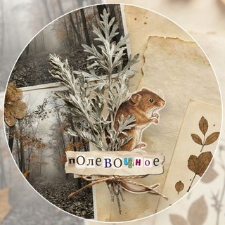 Telegram profile photo for полёвочное.