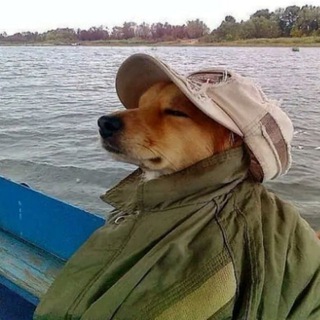 Telegram profile photo for База помідорів і не тільки 🫵🏻🍅🤙🏻