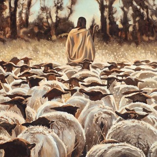 Telegram profile photo for The Good Shepherd