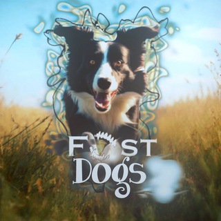Telegram profile photo for 💨Fast dogs🐾