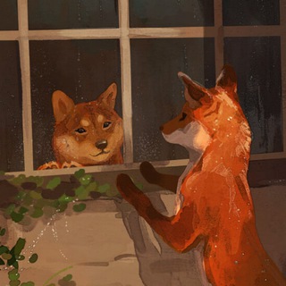 Telegram profile photo for Funny Fox & Shiba shorts