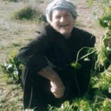Telegram profile photo for روستای جعفری و حومه گواور