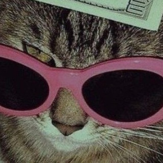 Telegram group profile photo for Вз Чат