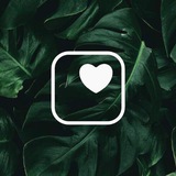Telegram profile photo for Сборник мнений