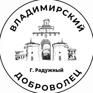 Telegram profile photo for Владимирский Доброволец 🚩