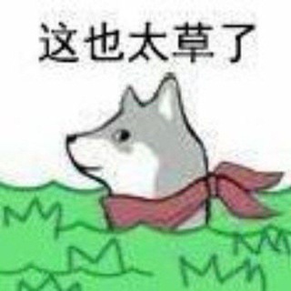 Telegram profile photo for 老史尬侃