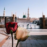 Telegram profile photo for صَـلاحُ الأمَّـة من صَـلاحكِ!🌱