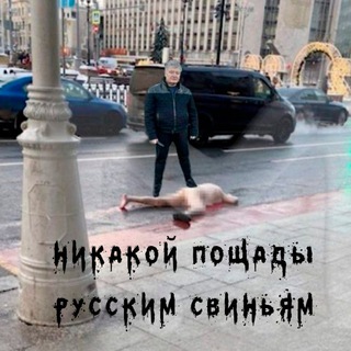 Telegram profile photo for Убой путинского скота