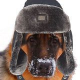 Telegram profile photo for Караульная Собака