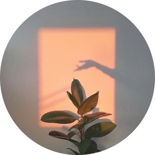 Telegram profile photo for حَـياة🌿..