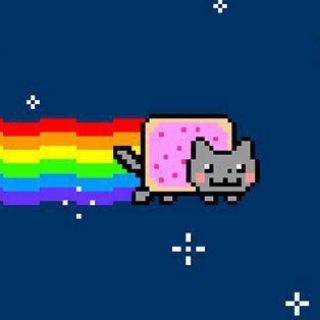 Telegram profile photo for Q Photo
