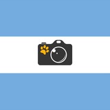 Telegram profile photo for Furry Argentina Fotos 📸