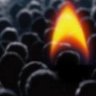 Telegram profile photo for Бериллий