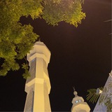 Telegram profile photo for المُطمَئنَّةُ