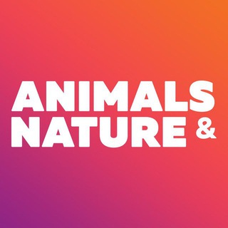 Telegram profile photo for Nature