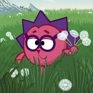 Telegram profile photo for 🦔 Пиар чат | Взаимные подписки 🦔