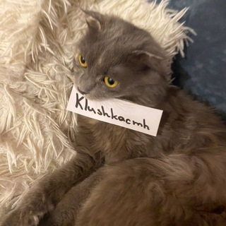 Telegram profile photo for клюшkka