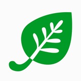 Telegram profile photo for iHerb Shopping