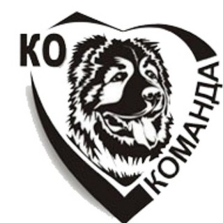 Telegram profile photo for KO_KOMANDA