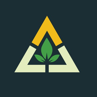 Telegram profile photo for Pro Trader Life Cycle