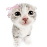 Telegram profile photo for ꒰ ࣪ Sugar SyanSyan⊹ ࣪.