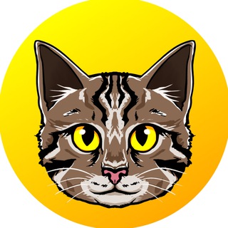 Telegram profile photo for Tigra - Hemule's Twin Cat