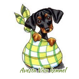 Telegram profile photo for Питомник собак Avesta Viva