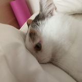 Telegram profile photo for °шшш°