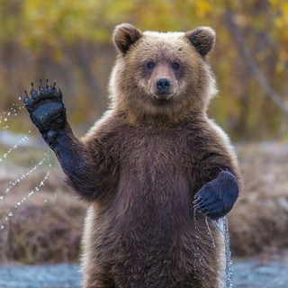 Telegram profile photo for КРАСИВЫЕ КАДРЫ