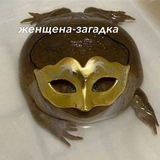 Telegram profile photo for Ⳙⲙⲡⲉⲣυя Ⲡⲟⲥⲗⲁⲏⲏυⲕⲁ Ⲭⲁⲟⲥⲁ