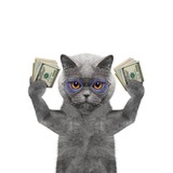 Telegram profile photo for TELEGRAM USERNAMES WIDN