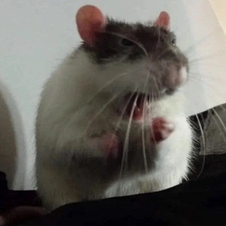 Telegram profile photo for Озвучки от Али🐾