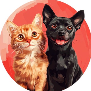Telegram profile photo for Кошечки & Собачки🐈🐶