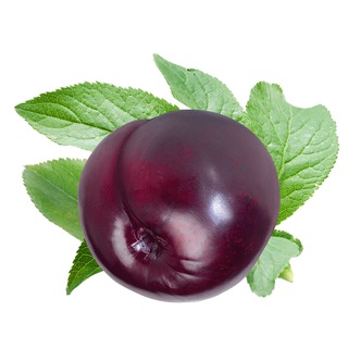 Telegram profile photo for Спелые сливы!