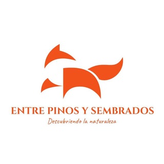Telegram profile photo for Entre pinos y sembrados