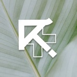 Telegram profile photo for Biorise | Клиника восстановительной медицины | Ховрино