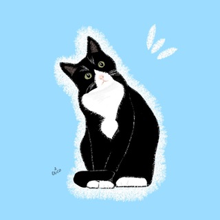 Telegram profile photo for Clove’s Turnitin File Checker 💗 PLAGIARISM AI SCAN