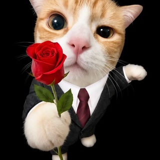 Telegram profile photo for Гвоздь программы🥰
