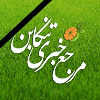 Telegram profile photo for مرجع خبری تنکابن