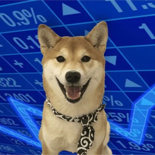 Telegram profile photo for dogwiftie