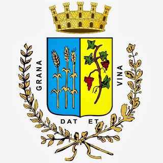Telegram profile photo for Polizia Locale e Protezione Civile Gravina in Puglia