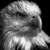 Telegram profile photo for Médicos investidores