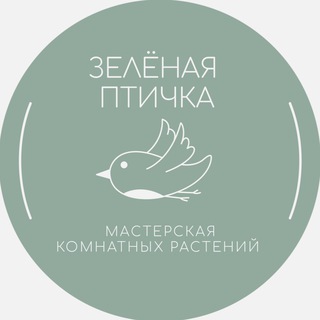 Telegram profile photo for Зеленая птичка - мастерская растений 🪴